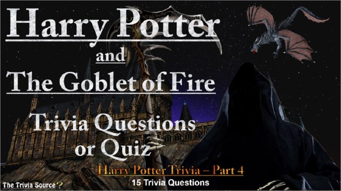 Harry potter and the goblet of fire accelerated reader answers