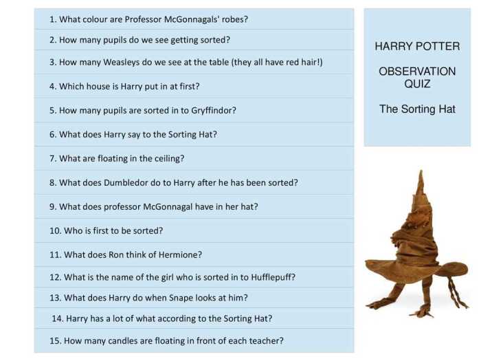 Harry potter and the goblet of fire accelerated reader answers